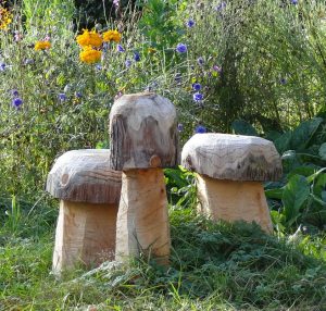 Log Mushrooms